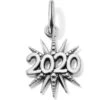 2020 Charm -Fashion Accessories Store 2020 charm silver 0