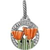 California Poppy Charm -Fashion Accessories Store california poppy charm multi 0 a99ba9e5 4f82 45a9 8836 6bb2ce5e1f93