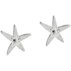 Cape Star Mini Post Earrings -Fashion Accessories Store cape star mini post earrings silver 2 06bb63e6 6aca 41d0 a915 3555cdf669c6