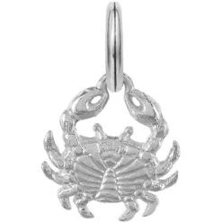 Crabby Charm -Fashion Accessories Store crabby charm silver 1 7643ef29 4b7b 4ec7 8b2d eb49544200b5