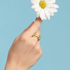 Inner Circle Double Ring 17 Inner Circle Double Ring -Fashion Accessories Store inner circle double ring gold 2