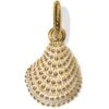 Sassy Shell Charm -Fashion Accessories Store sassy shell charm gold white 0 9c951af6 cd98 4288 879c 7f0eb694d8ad